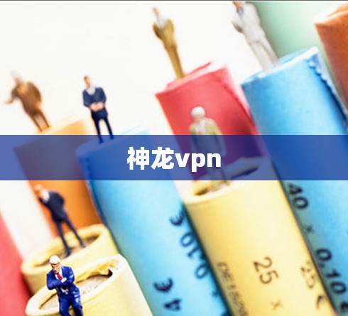 神龙vpn
